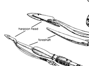 the entire harpoon weapon system