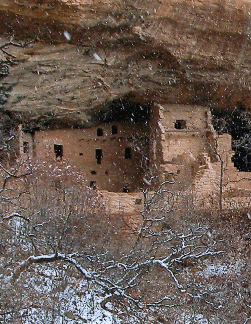 Spruce Tree House in Winter