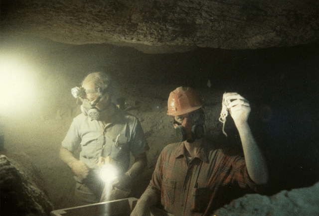 U Bar Cave, N.M.