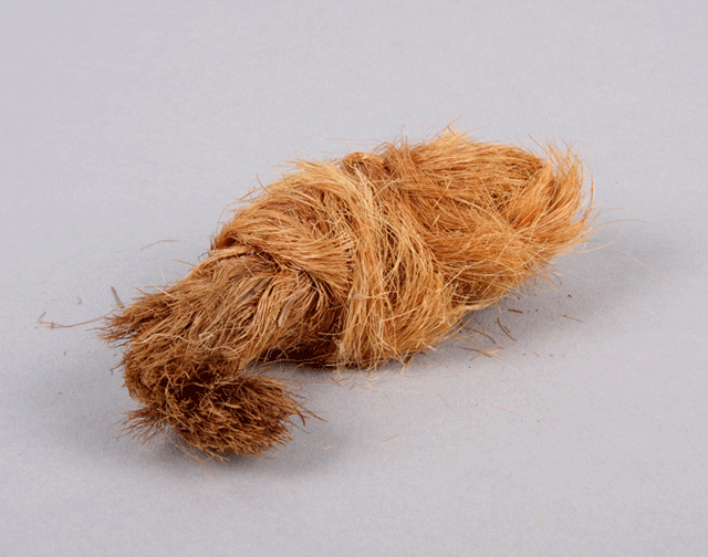 yucca fiber